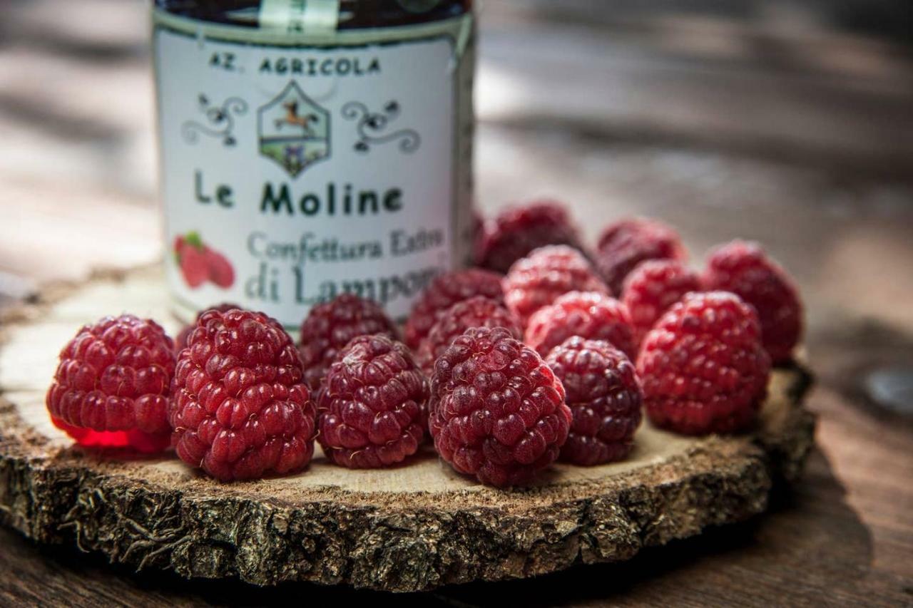 Piccolo Casale A "Le Moline" In Una Vera Fattoria Vetralla Εξωτερικό φωτογραφία