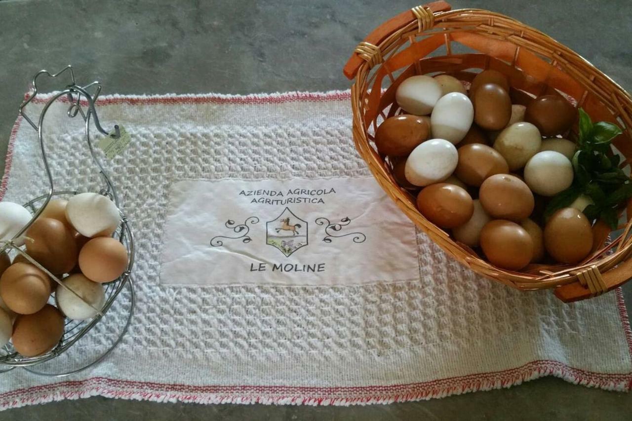 Piccolo Casale A "Le Moline" In Una Vera Fattoria Vetralla Εξωτερικό φωτογραφία