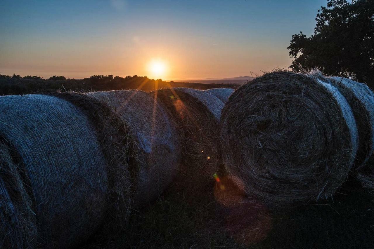 Piccolo Casale A "Le Moline" In Una Vera Fattoria Vetralla Εξωτερικό φωτογραφία