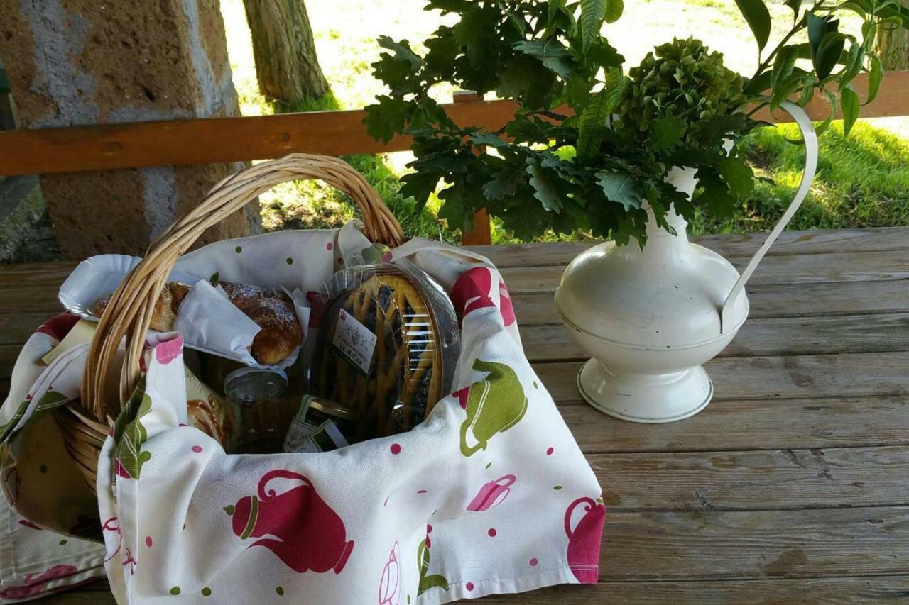 Piccolo Casale A "Le Moline" In Una Vera Fattoria Vetralla Εξωτερικό φωτογραφία